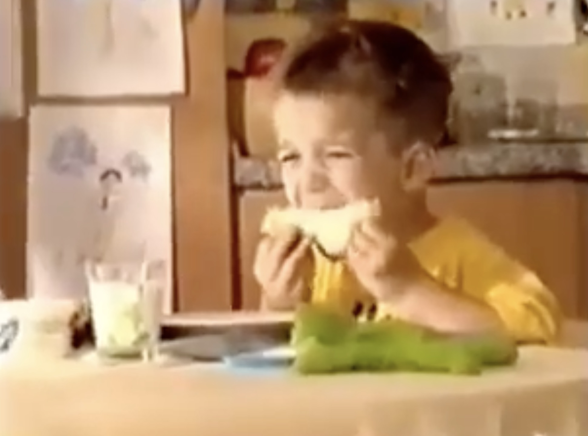 ScanEat tražilica
